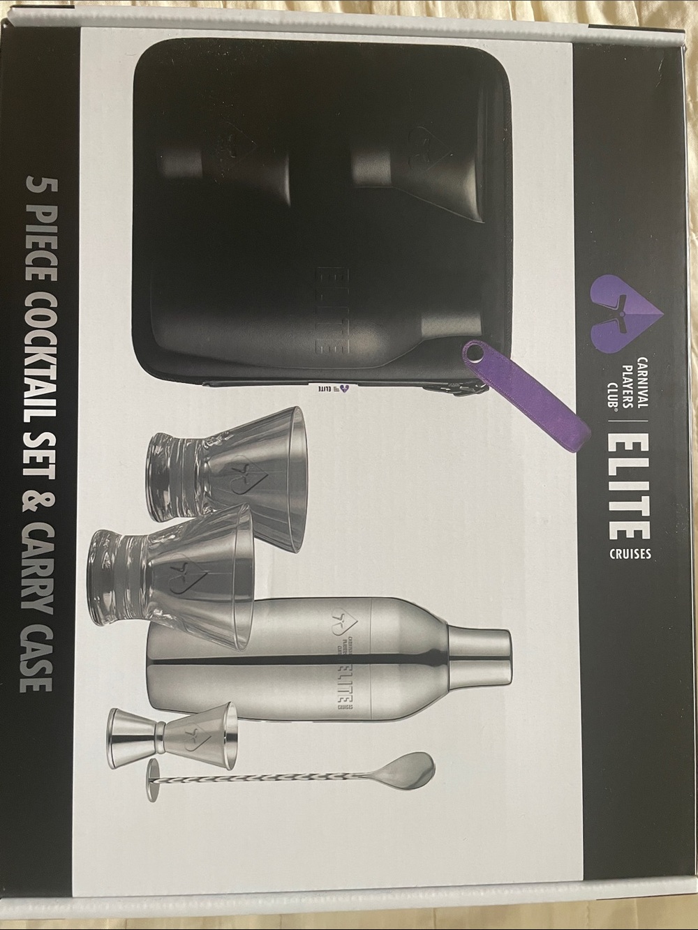 Silver 5-Piece Cocktail Set with Carry Case